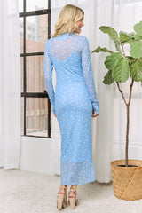 woman wearing a light blue long sleeve mesh dress with polka dots, standing in front of a window and a plant