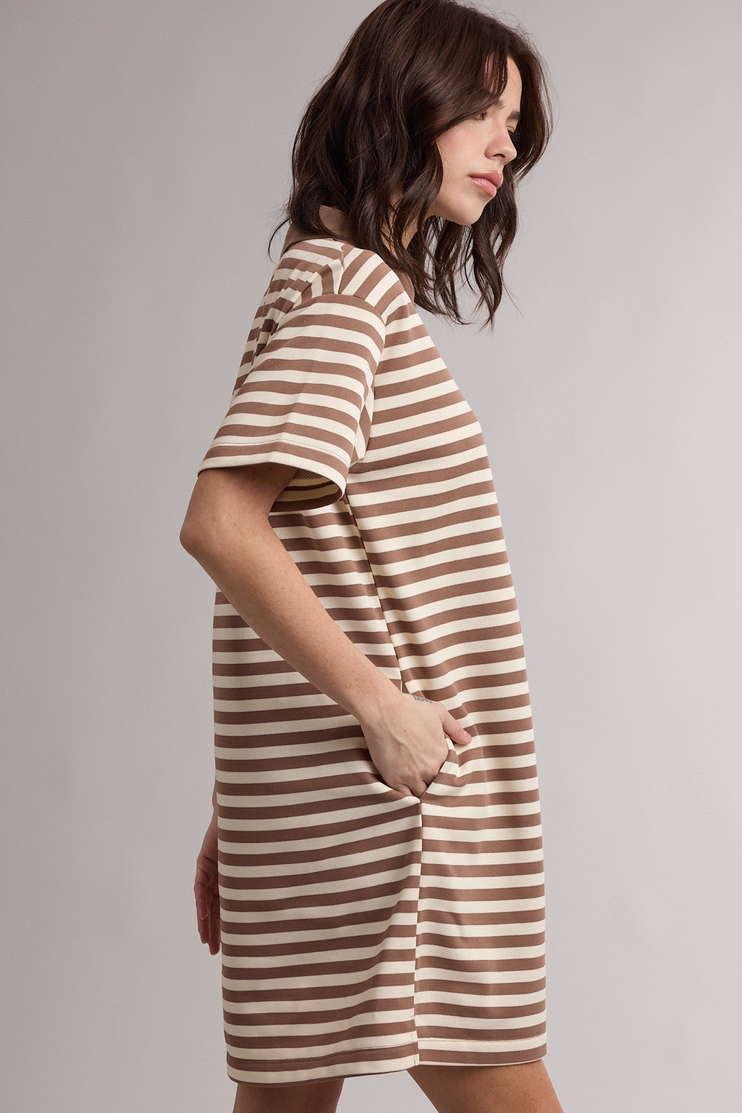 Chestnut Striped Polo T-Shirt Mini Dress