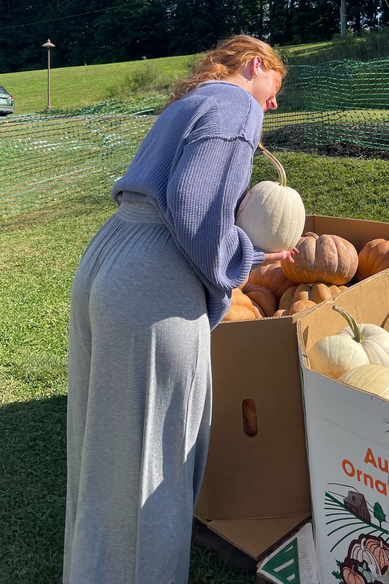 woman in blue sweater and grey pants picking out a white pumpkin from a cardboard bin at a pumpkin patch