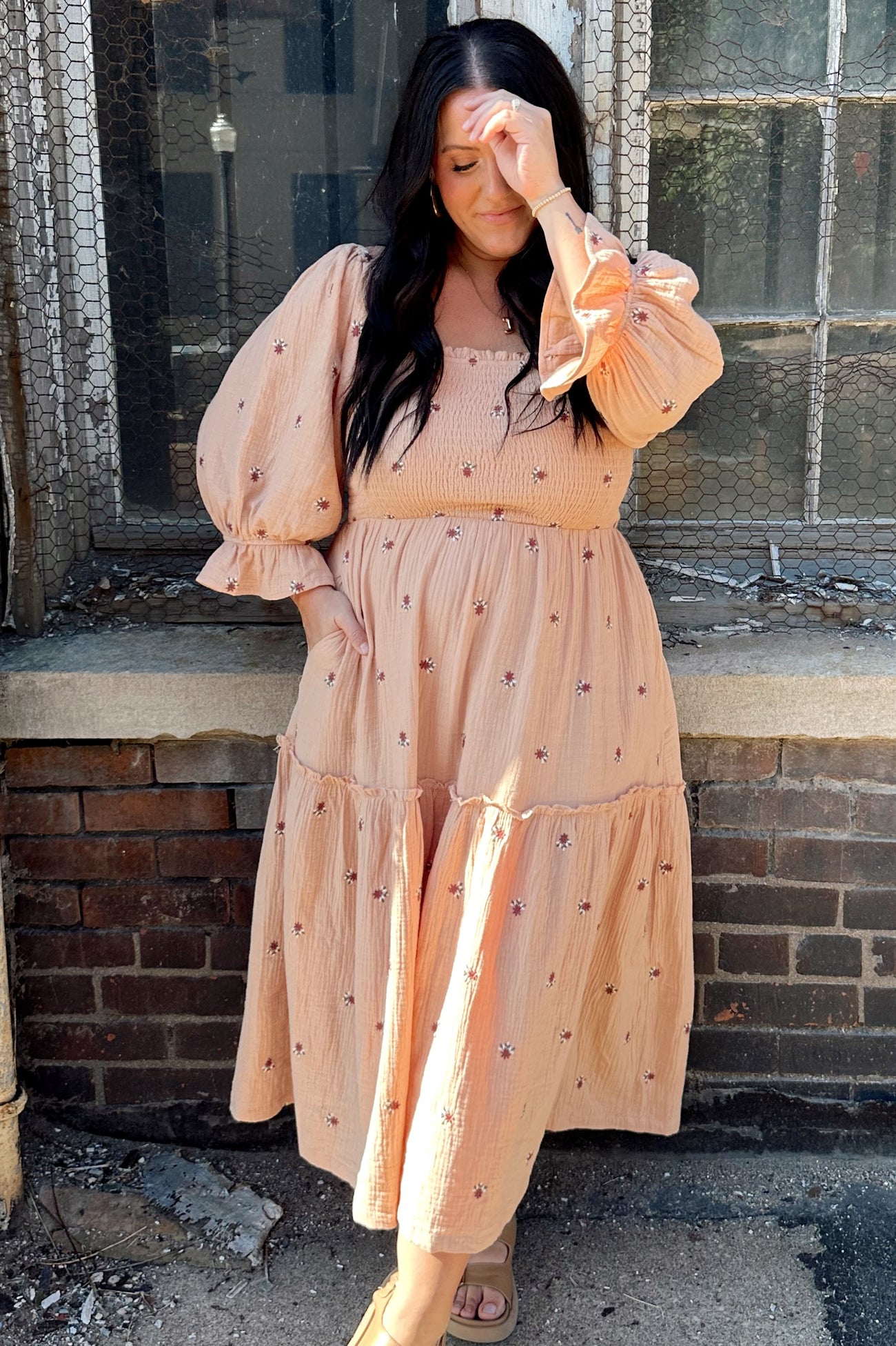 Blush Ditzy Floral Embroidery Puff Sleeve Maxi Dress